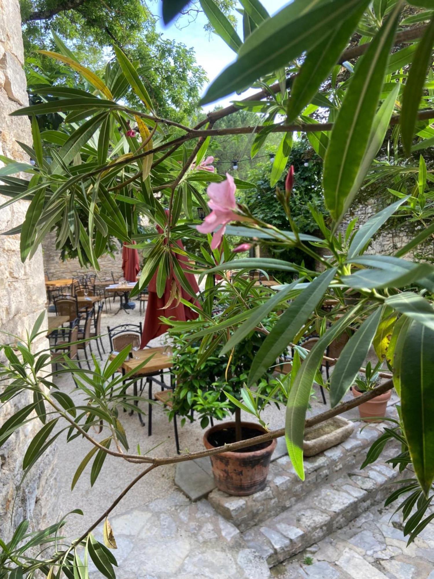 Hotel Restaurant Clos Des Sullys Montclus  Kültér fotó